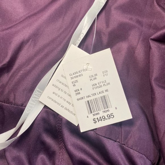 NWT | David's Bridal | Women’s Short Halter Neckline Lace Mesh Dress | Size 16 - Picture 5 of 9